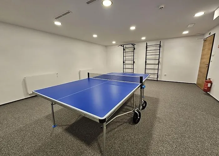 Apartmán S Terasou A S Možností Wellness 3475 *