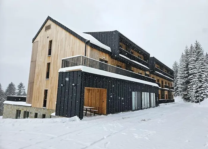 Apartmán S Terasou A S Možností Wellness 3475